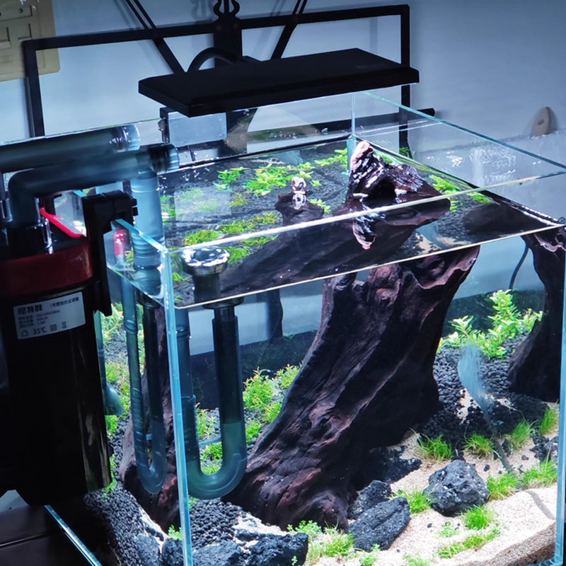 Planted Aquarium Cycling - ไฟ LED สเปกตรัมเต็มสำหรับตู้ปลา พร้อมตั้งเวลาการทำงาน ปรับได้ 3