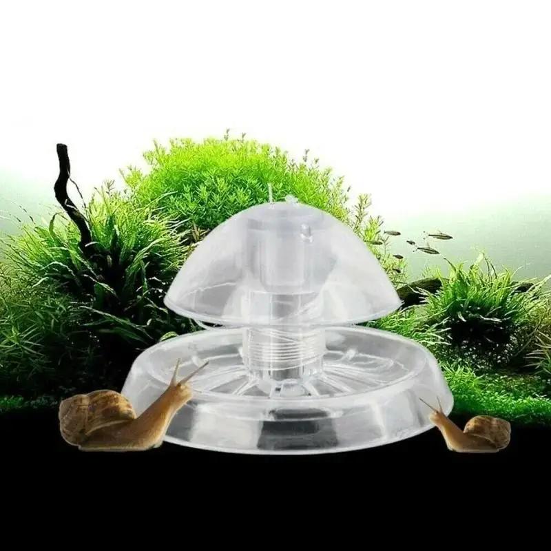 Aquarium Planted Tank - กับดักหอยทากพลาสติกใสขนาด 6/8 ซม. รุ่นใหม่ ปี 2026