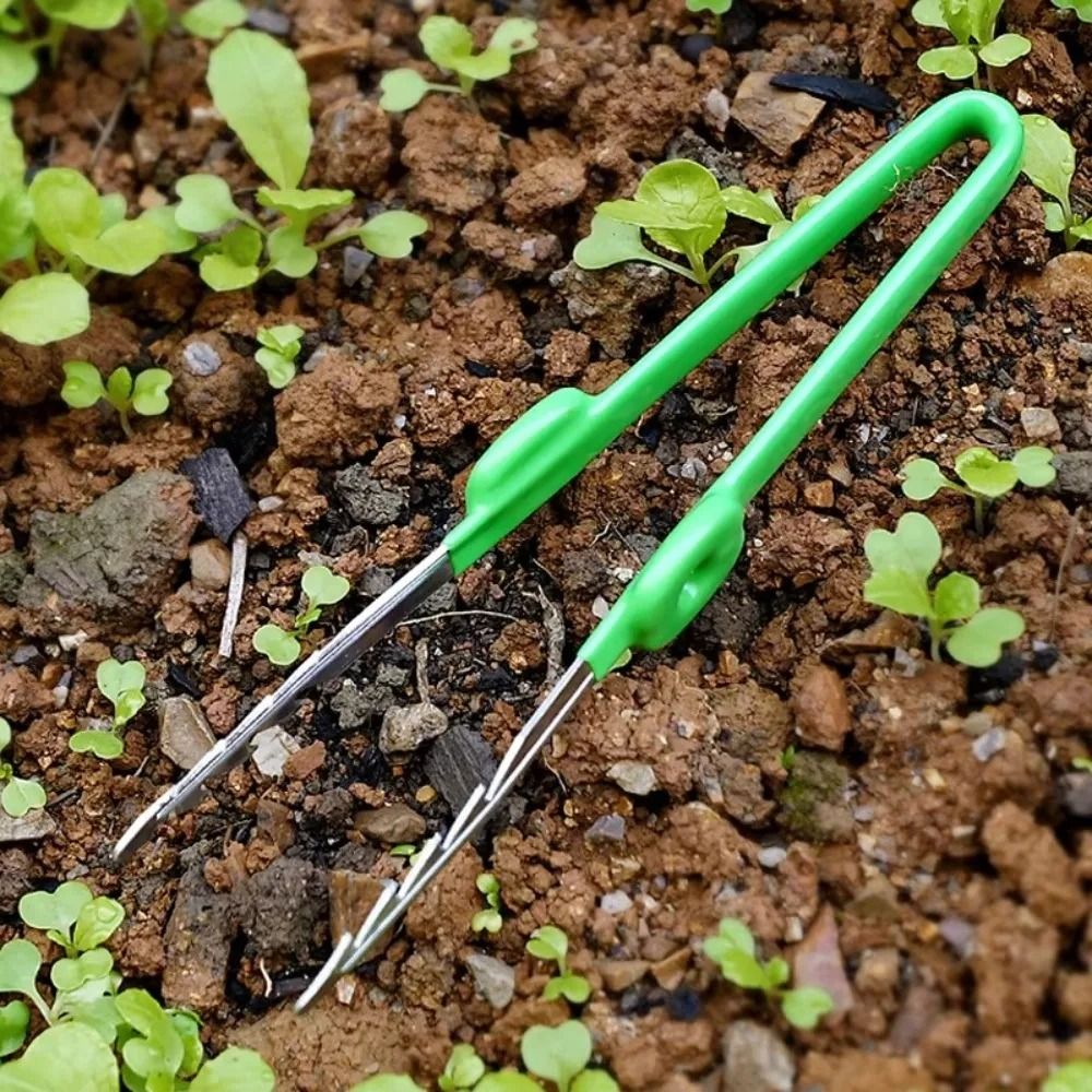 Planted Clip Tweezers - แหนบทำสวนสแตนเลส แข็งแรง ทนทาน อเนกประสงค์ สำหรับดูแลต้นไม้ ขนาดกะทัดรัด