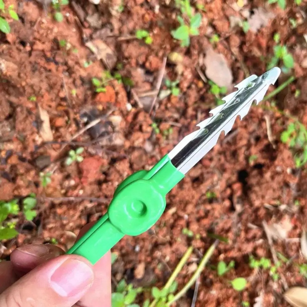 แหนบถอนขนสำหรับทำสวนกลางแจ้งใช - Planted Clip Tweezers บทวิจารณ์และราคา