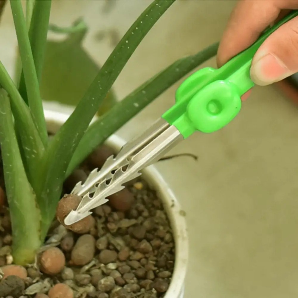 แหนบถอนขนสำหรับทำสวนกลางแจ้งใช - Planted Clip Tweezers บทวิจารณ์และราคา