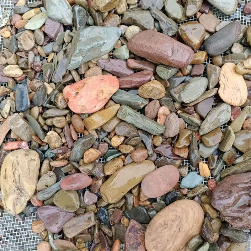 500g ถังปลาด้านล่างหินทราย Aqu - Aquarium Planted Sand บทวิจารณ์และราคา