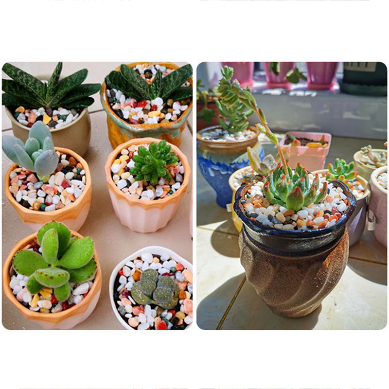 ทรายธรรมชาติสำหรับตู้ปลา 5 มม. - Aquarium Planted Sand บทวิจารณ์และราคา