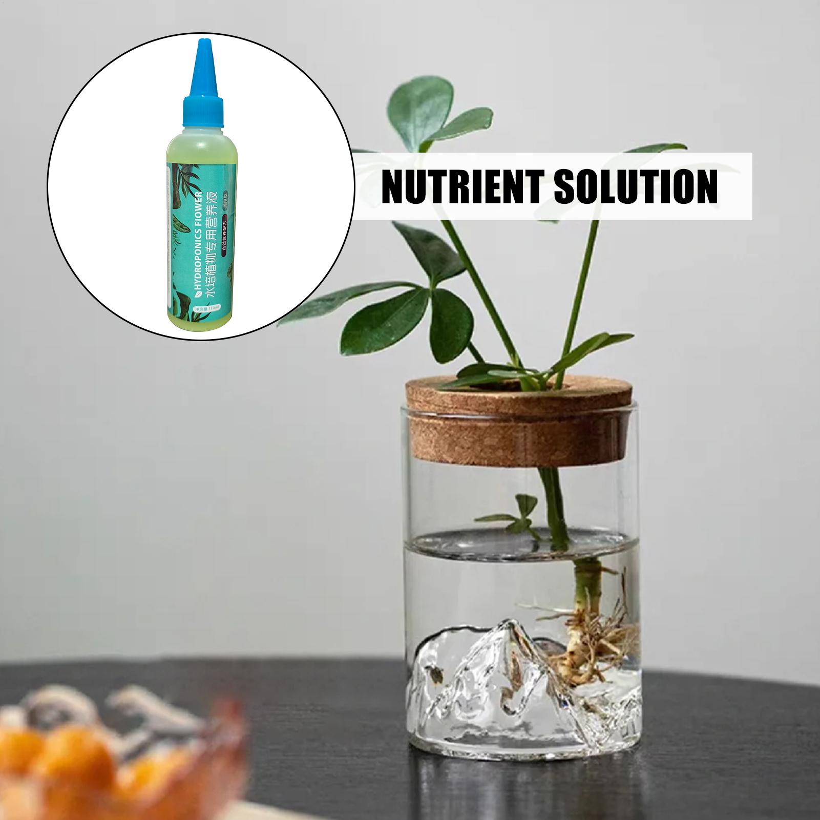 ปุ๋ยน้ำสำหรับพืชไฮโดรโปนิกส์ 1 - Liquid Fertilizer All In บทวิจารณ์และราคา