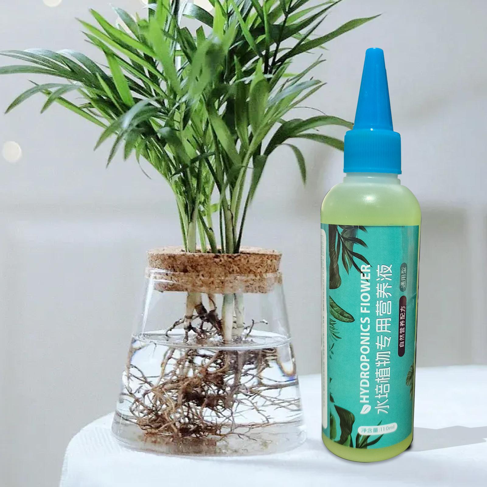 ปุ๋ยน้ำสำหรับพืชไฮโดรโปนิกส์ 1 - Liquid Fertilizer All In บทวิจารณ์และราคา