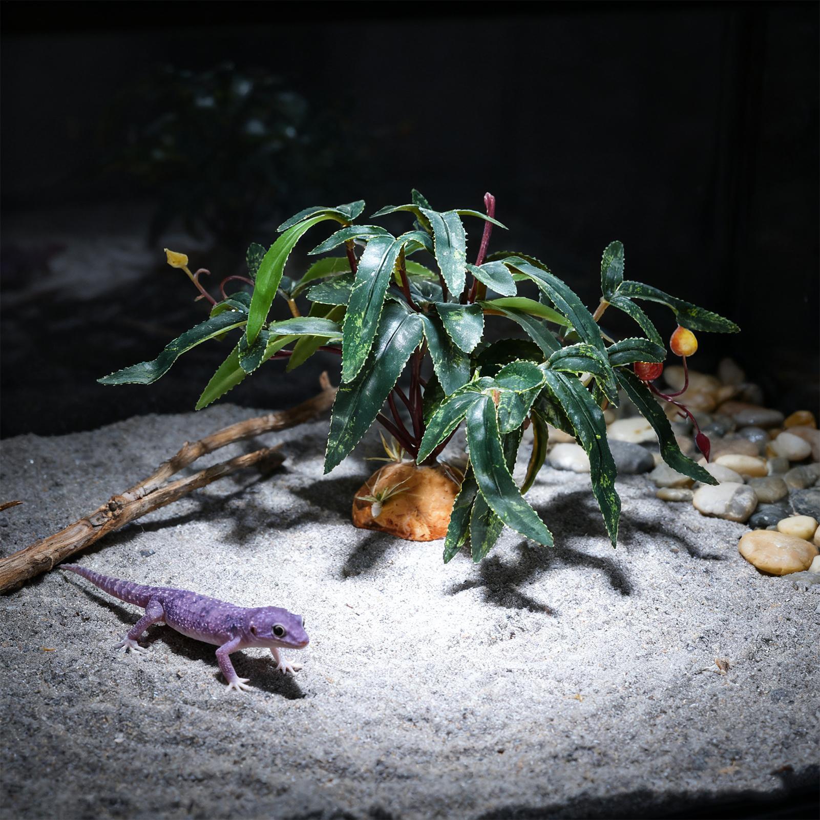 ต้นไม้ปลอมสำหรับตกแต่งตู้งู ขอ - Aquarium Planted Tank บทวิจารณ์และราคา