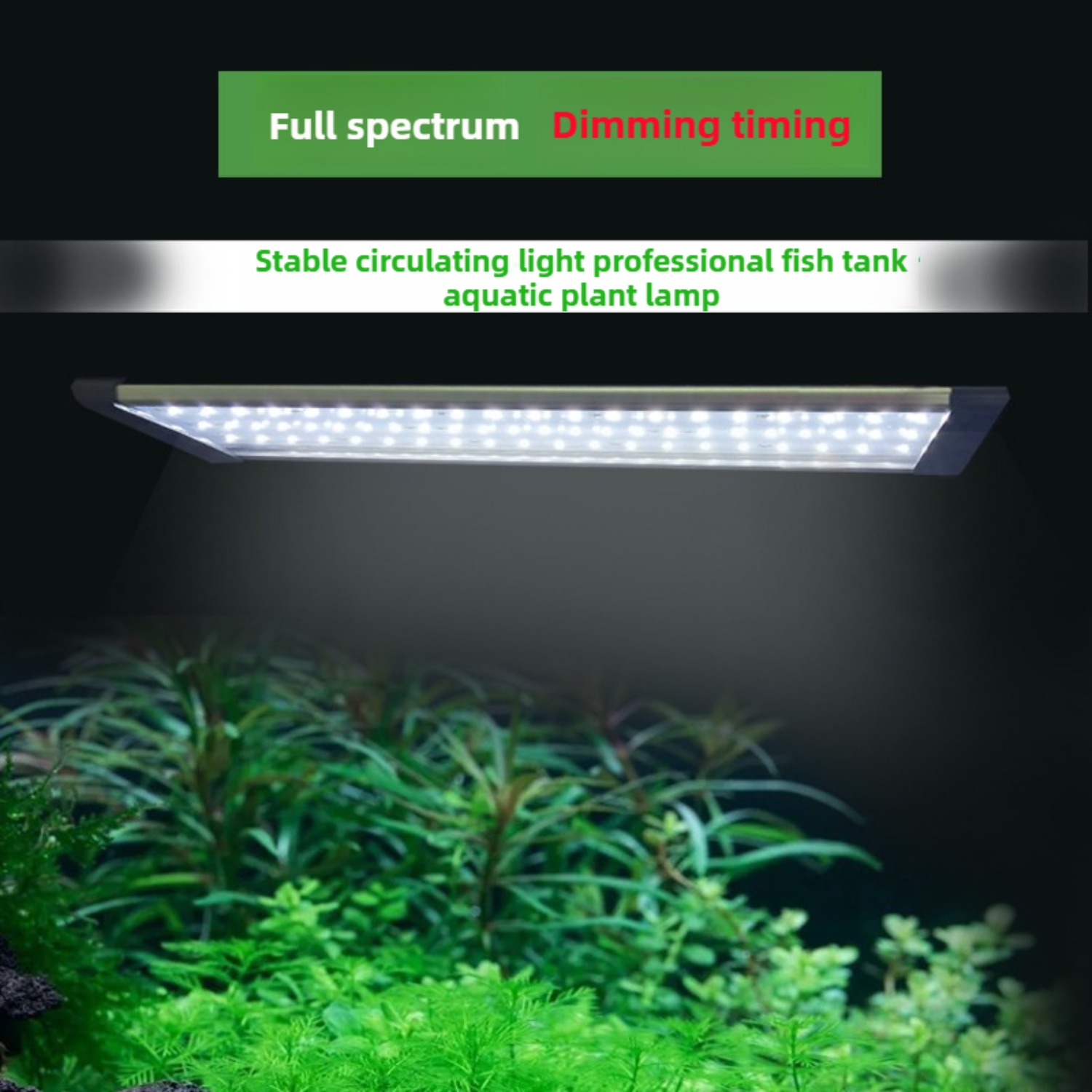 ไฟ LED สำหรับตู้ปลา วงจร 24/7  - Planted Aquarium Cycling บทวิจารณ์และราคา
