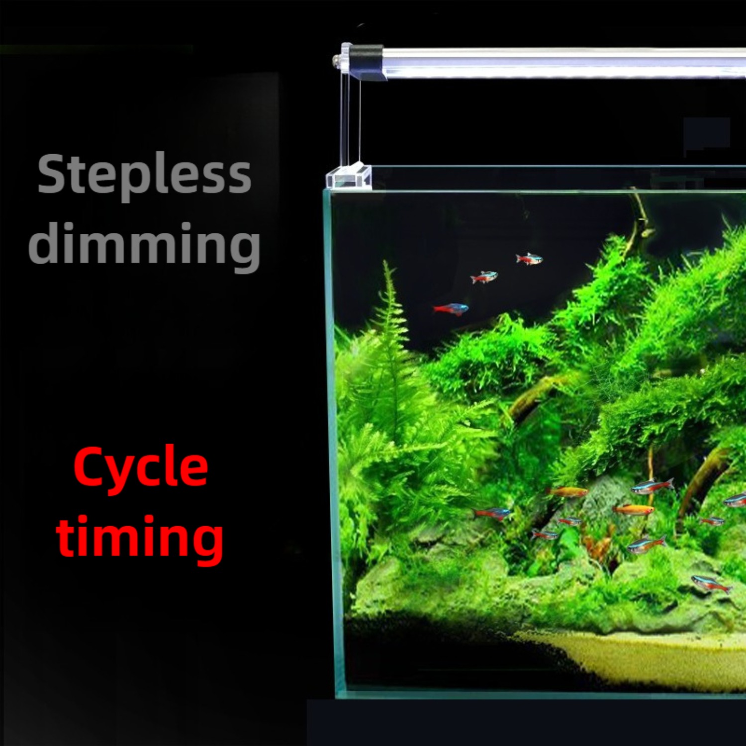 ไฟ LED สำหรับตู้ปลา วงจร 24/7  - Planted Aquarium Cycling บทวิจารณ์และราคา