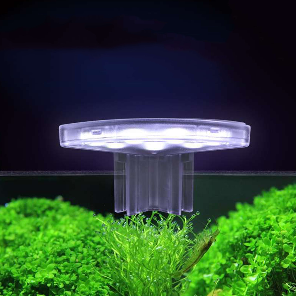 โคมไฟปลูกต้นไม้ LED ประหยัดพลั - Aquarium Plant Easy To Grow บทวิจารณ์และราคา
