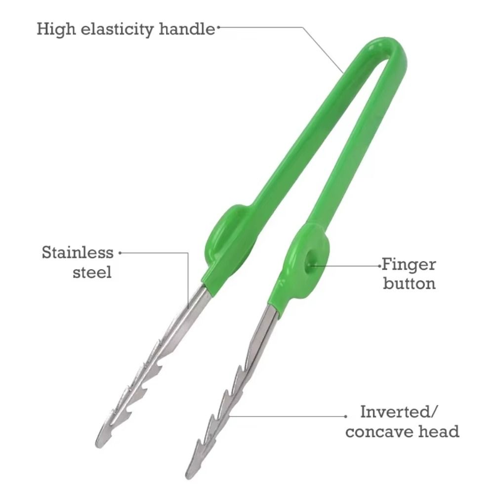 แหนบทำสวนสแตนเลส แข็งแรง ทนทาน - Planted Clip Tweezers บทวิจารณ์และราคา