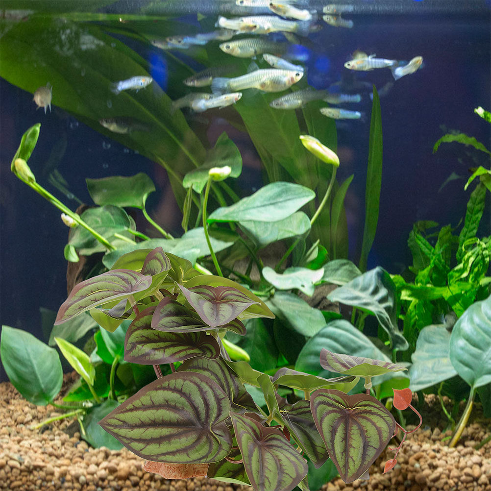 ต้นไม้เทียมตกแต่งตู้เลี้ยงสัตว - Aquarium Planted Tank บทวิจารณ์และราคา