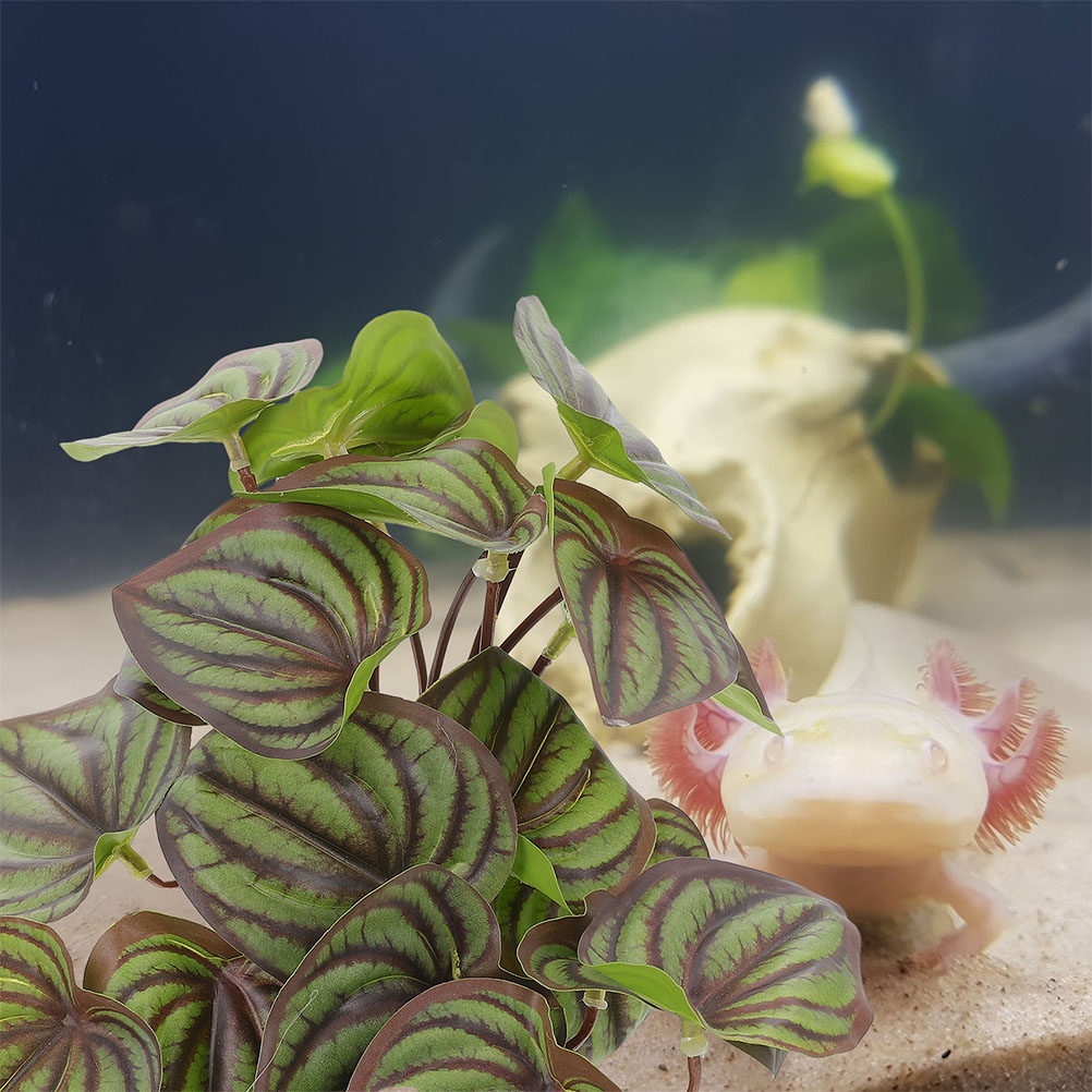 ต้นไม้เทียมตกแต่งตู้เลี้ยงสัตว - Aquarium Planted Tank บทวิจารณ์และราคา