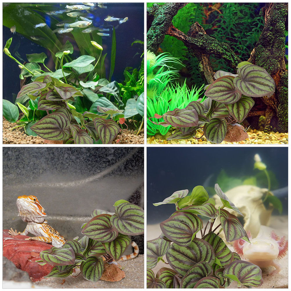 ต้นไม้เทียมตกแต่งตู้เลี้ยงสัตว - Aquarium Planted Tank บทวิจารณ์และราคา