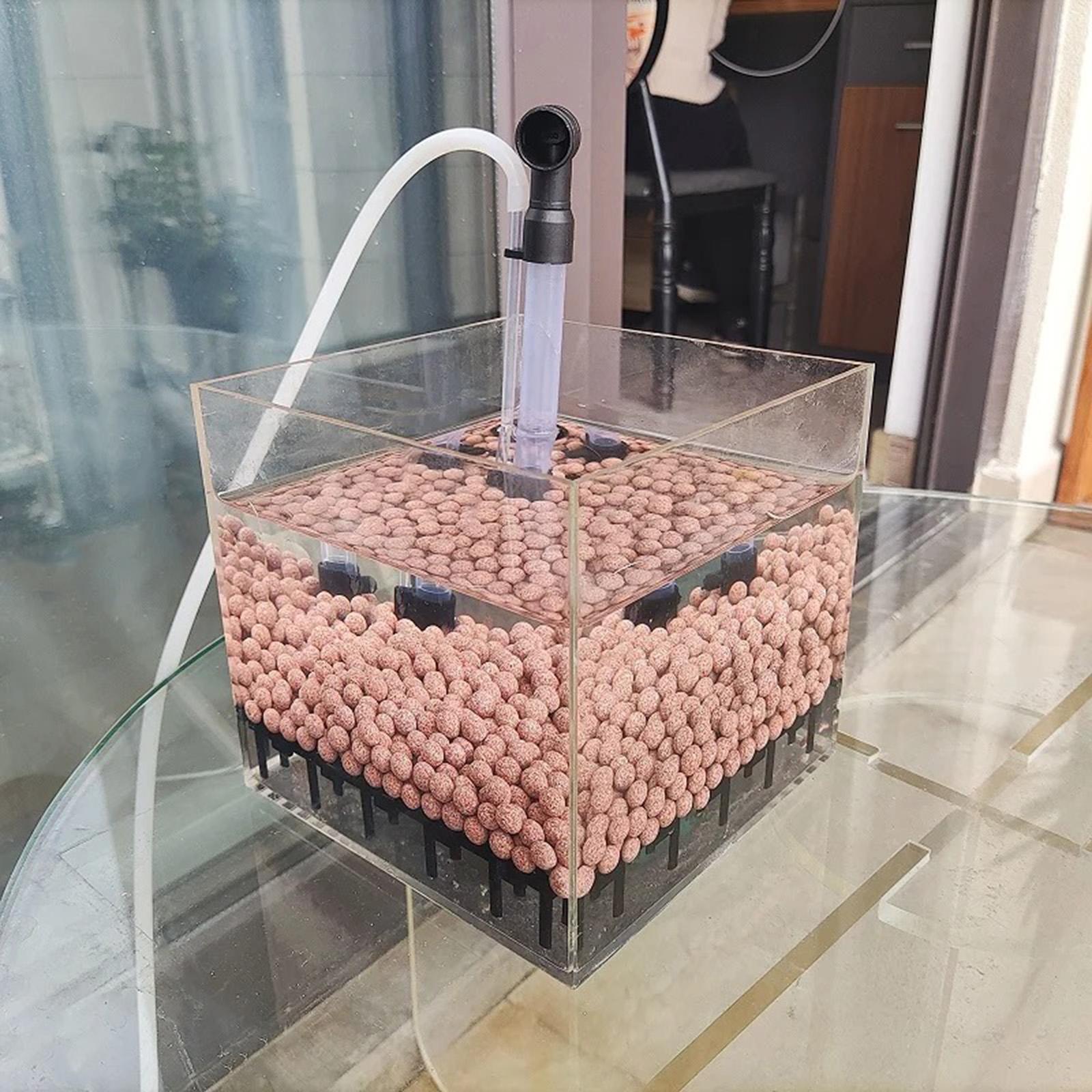 กล่องกรองตู้ปลาทรงสี่เหลี่ยม อ - Planted Aquarium Undergravel Filter บทวิจารณ์และราคา