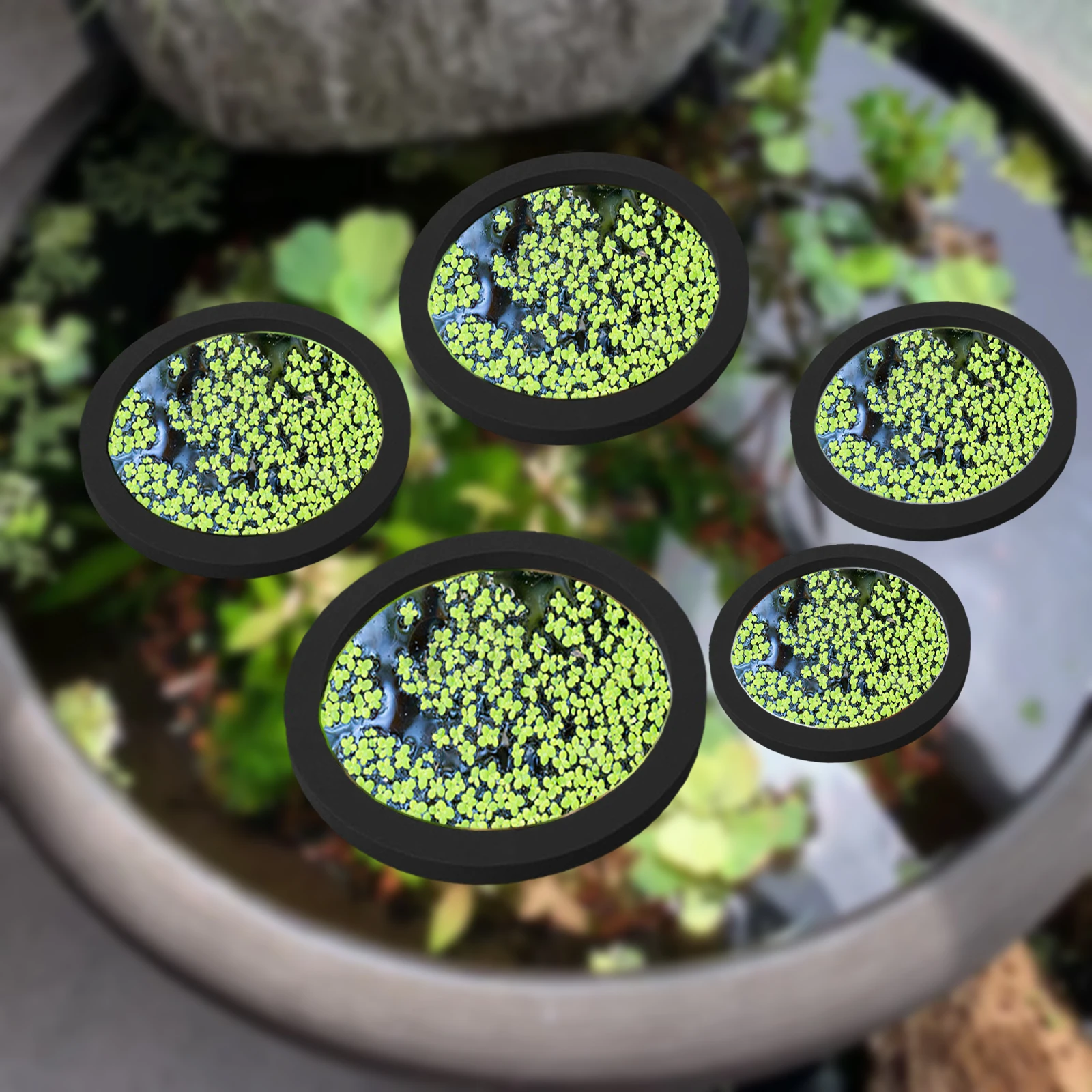5 ชิ้น EVA ปลา Feeding แหวน Aq - Aquarium Planted Tank บทวิจารณ์และราคา