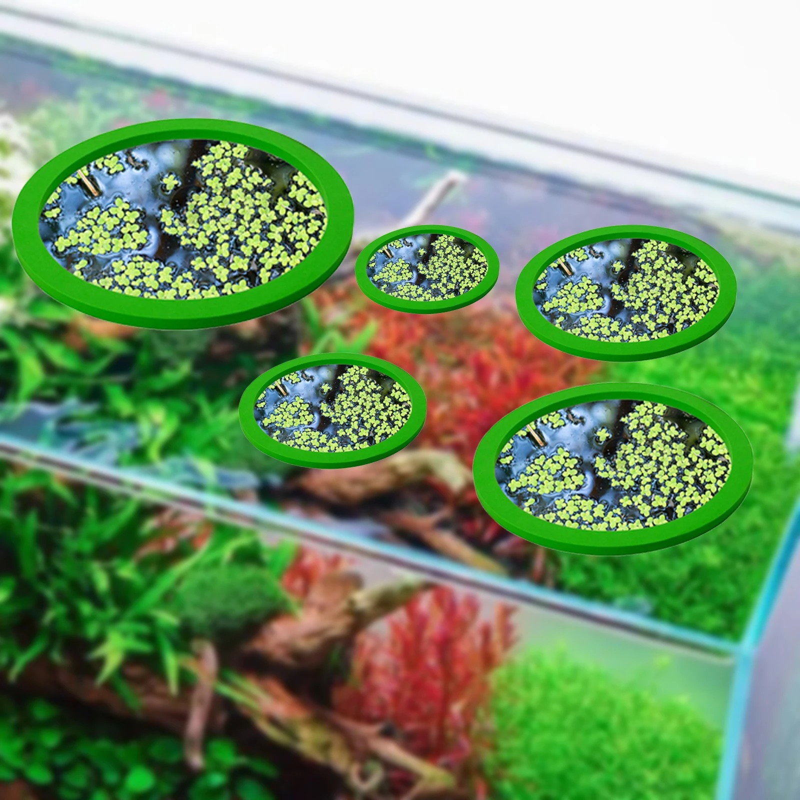 5 ชิ้น EVA ปลา Feeding แหวน Aq - Aquarium Planted Tank บทวิจารณ์และราคา
