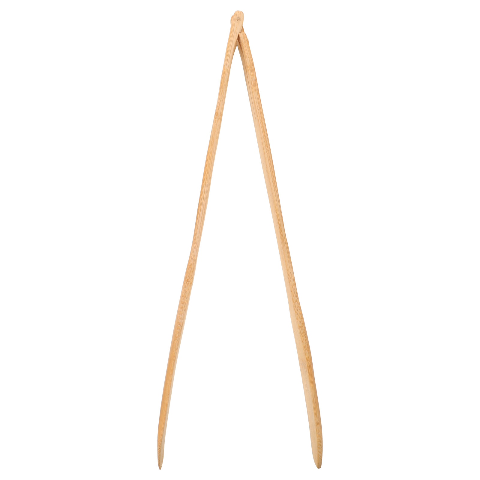 ที่คีบต้นกระบองเพชรไม้ไผ่ขนาด  - Planted Clip Tweezers บทวิจารณ์และราคา