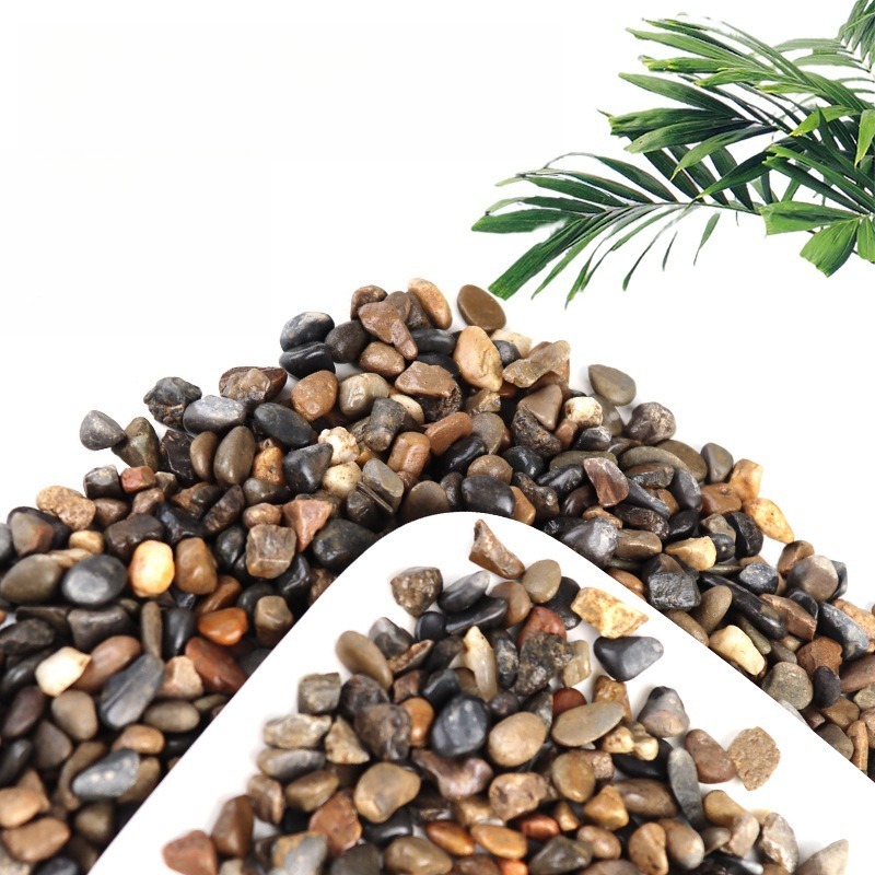 ทรายตกแต่งพื้นตู้ปลาแบบธรรมชาต - Aquarium Planted Sand บทวิจารณ์และราคา