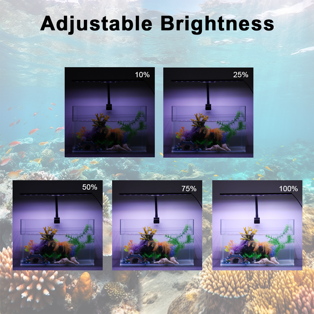 ไฟ LED สำหรับตู้ปลาแบบวงจรแสง  - Planted Aquarium Cycling บทวิจารณ์และราคา