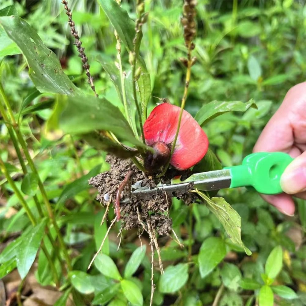 แหนบทำสวนสแตนเลสอเนกประสงค์ ปล - Planted Clip Tweezers บทวิจารณ์และราคา