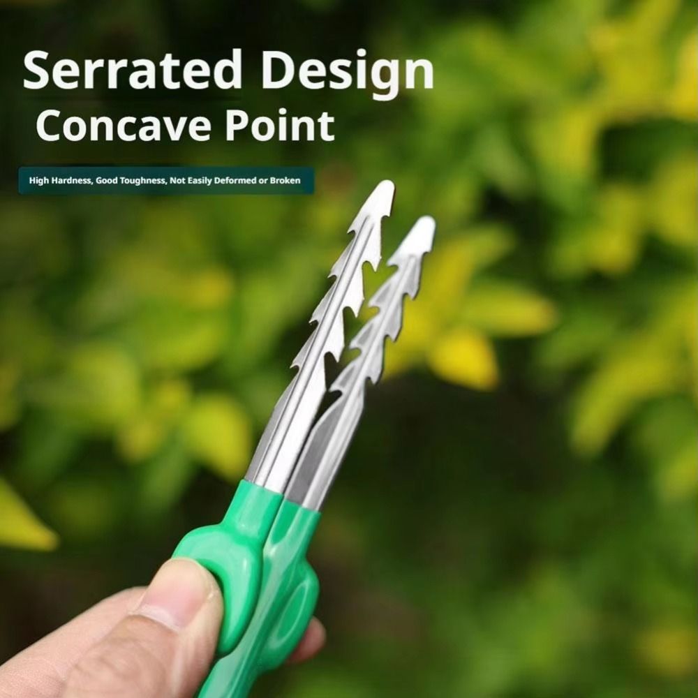 แหนบทำสวนสแตนเลสอเนกประสงค์ ปล - Planted Clip Tweezers บทวิจารณ์และราคา