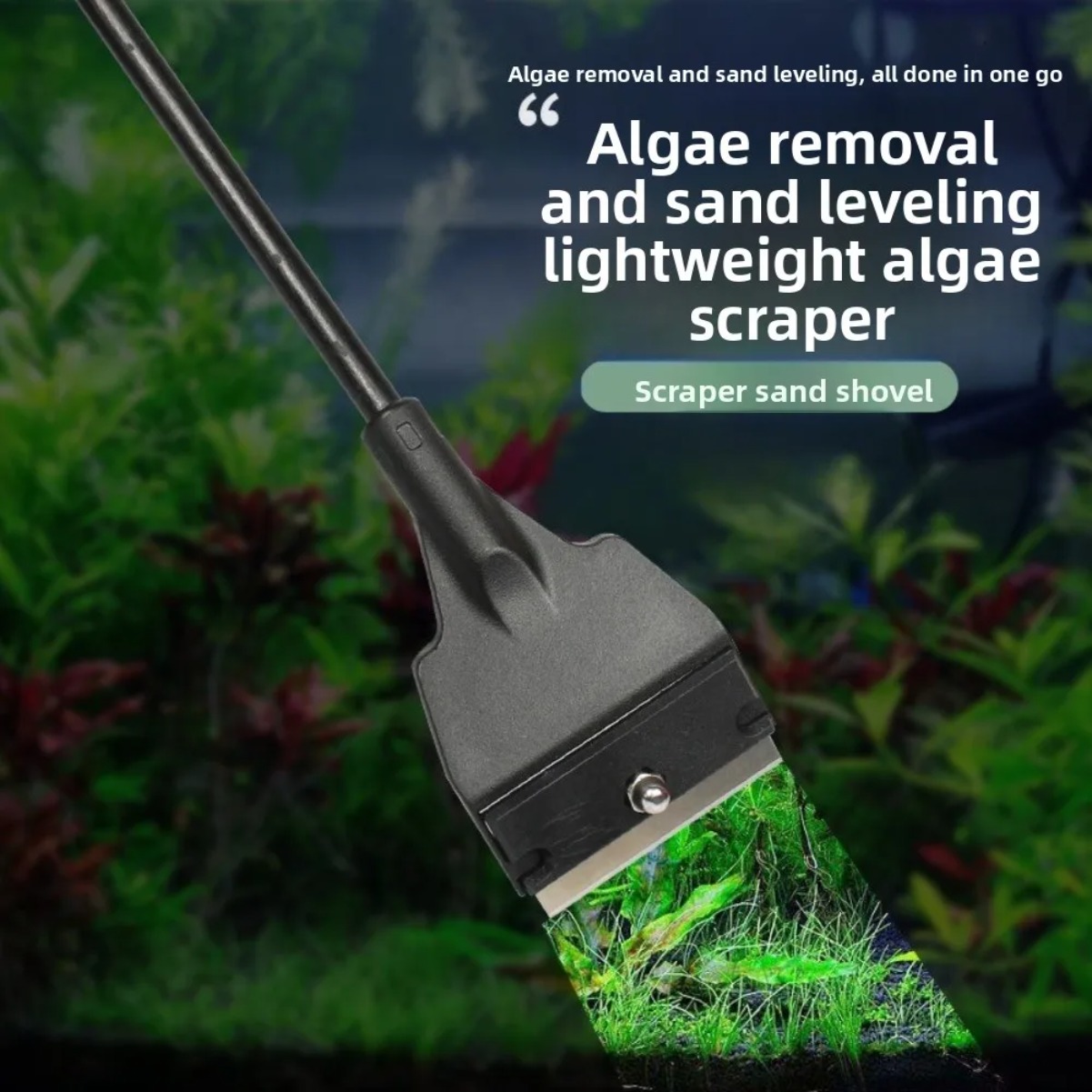 เครื่องมือขูดคราบสาหร่ายบนกระจ - Aquarium Planted Sand บทวิจารณ์และราคา