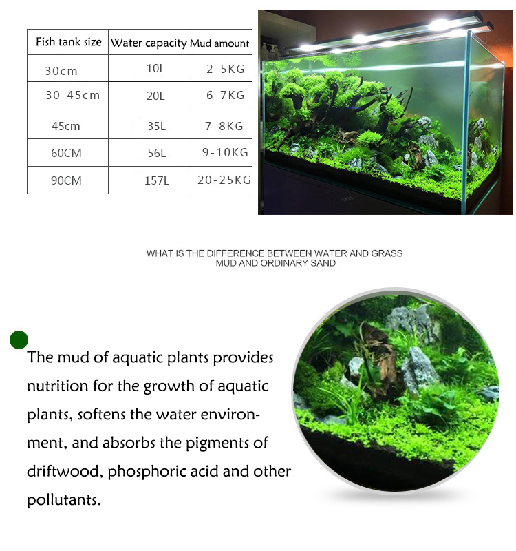 พิพิธภัณฑ์สัตว์น้ำเมล็ดพืชดิน  - Aquarium Planted Tank บทวิจารณ์และราคา