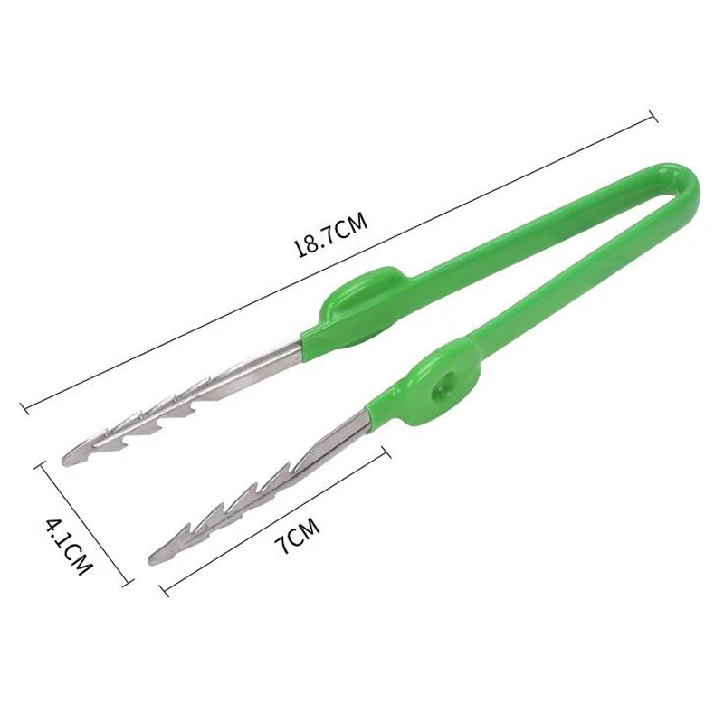 1 PC สวนแหนบ Succulent พืชกระถ - Planted Clip Tweezers บทวิจารณ์และราคา