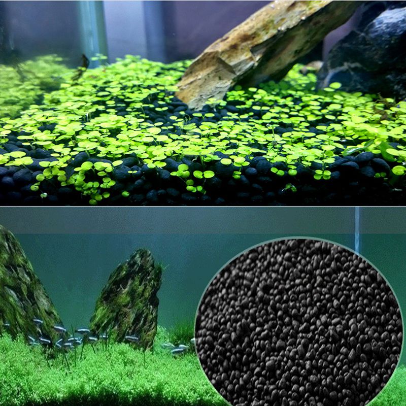 ทรายปลา Auarium พื้นผิว 100g ถ - Aquarium Planted Sand บทวิจารณ์และราคา