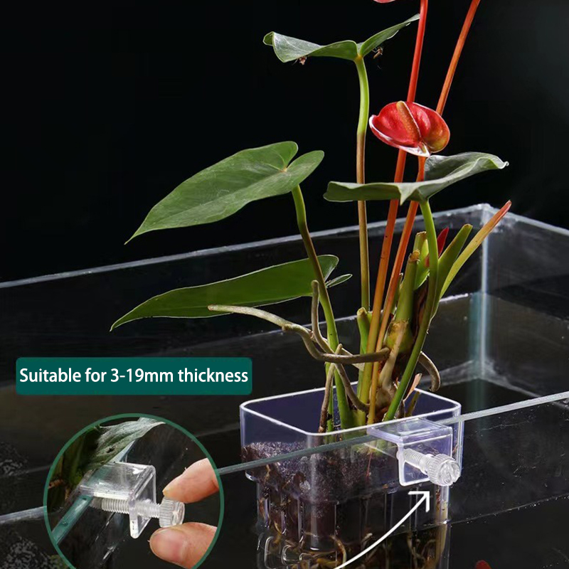 ถ้วยปลูกหญ้าน้ำพิพิธภัณฑ์สัตว์ - Aquarium Planted Tank บทวิจารณ์และราคา