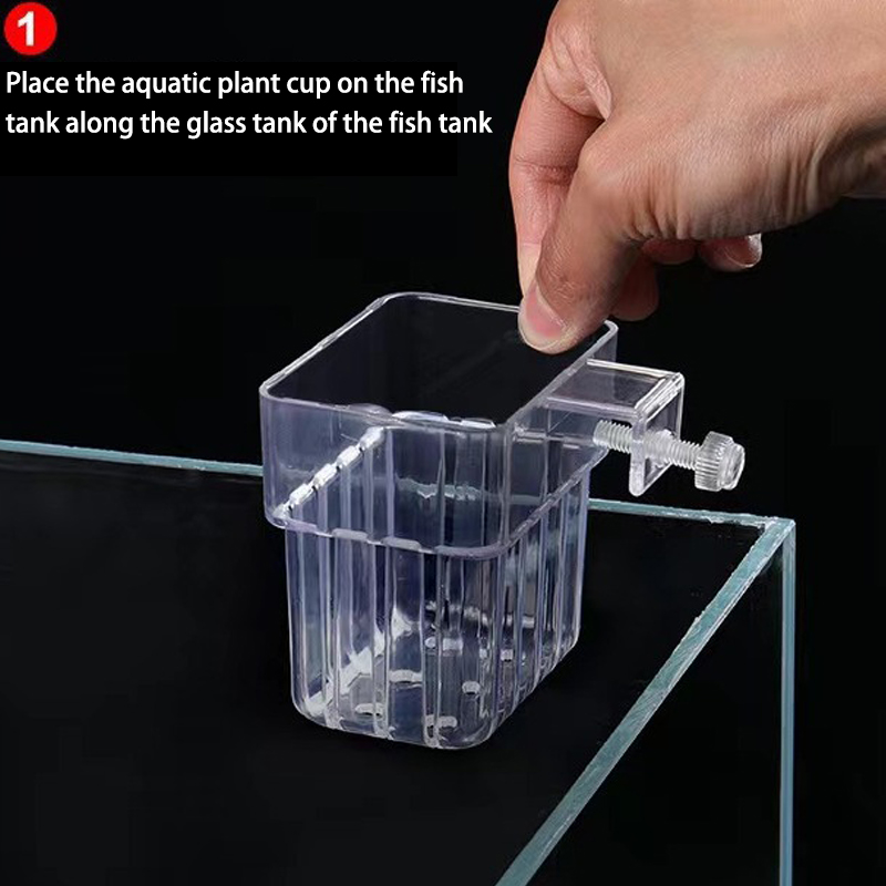 ถ้วยปลูกหญ้าน้ำพิพิธภัณฑ์สัตว์ - Aquarium Planted Tank บทวิจารณ์และราคา