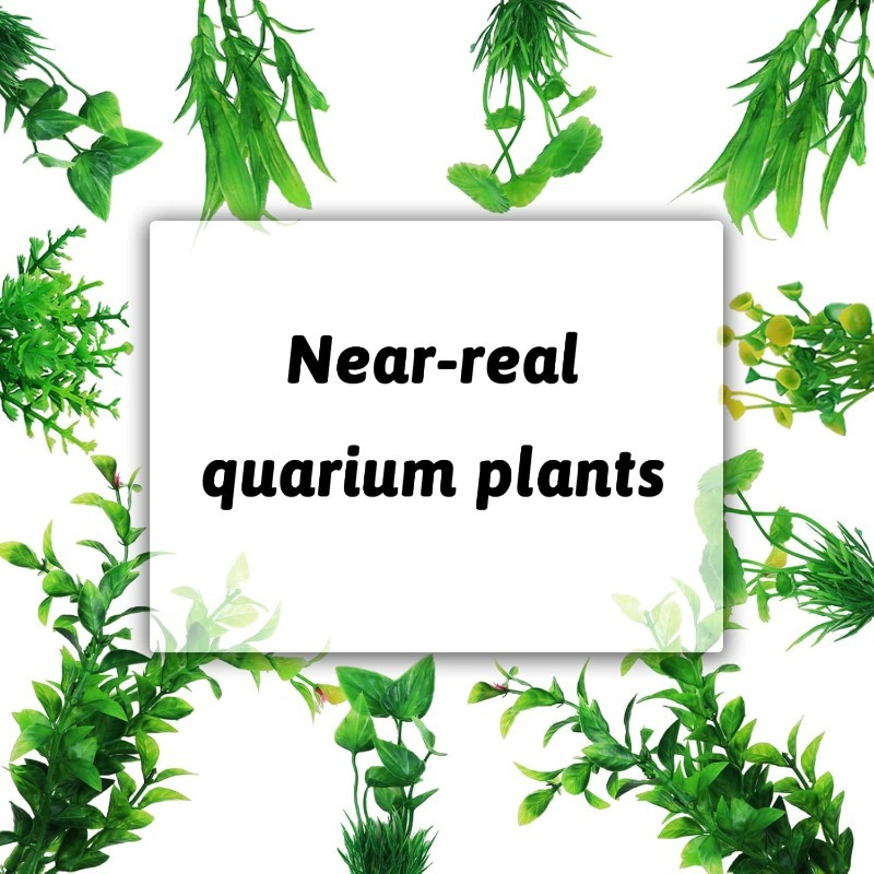 10/20 ชิ้นพืชประดับตู้ปลาประดิ - Aquarium Planted Tank บทวิจารณ์และราคา