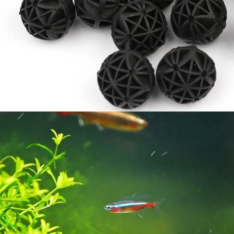 ไส้กรองชีวภาพสำหรับตู้ปลา ขนาด - Aquarium Planted Tank บทวิจารณ์และราคา